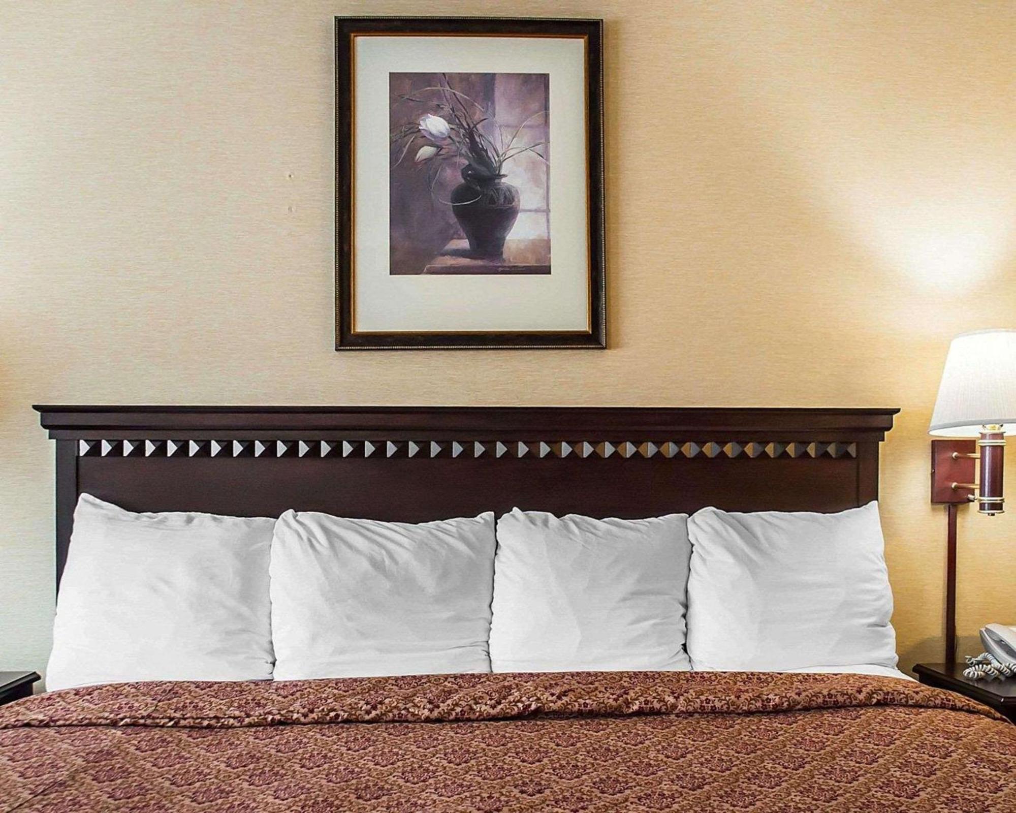 Econo Lodge Elmira-Corning Fisherville Extérieur photo